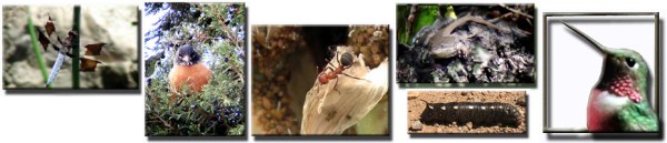 RangeTracker Colinda de Groen R (19)