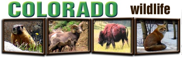 RangeTracker Colinda de Groen R (20)