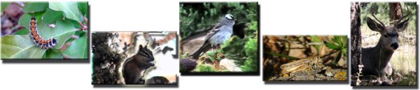 RangeTracker Colinda de Groen R (21)