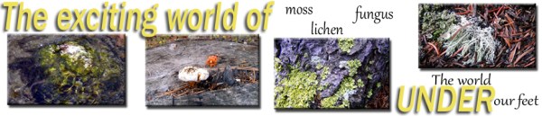 RangeTracker Colinda de Groen R (6)