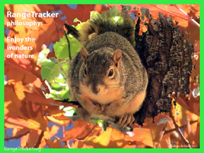 RangeTracker Colinda de Groen (16)