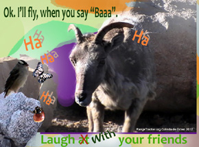 RangeTracker Colinda de Groen (18)