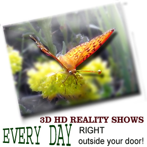 RangeTracker Colinda de Groen (2)