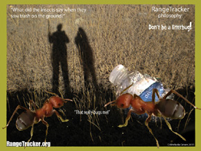 RangeTracker Colinda de Groen (32)