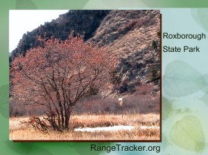 Roxborough RangeTracker (30)