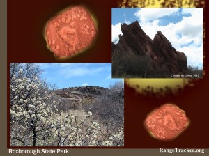 Roxborough RangeTracker (38)