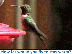 RangeTracker Colinda de Groen  (10)