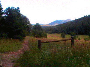 RangeTracker Colinda de Groen  (13)