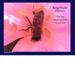 RangeTracker Colinda de Groen  (17)
