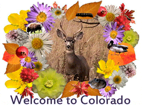 RangeTracker Colinda de Groen  (19)